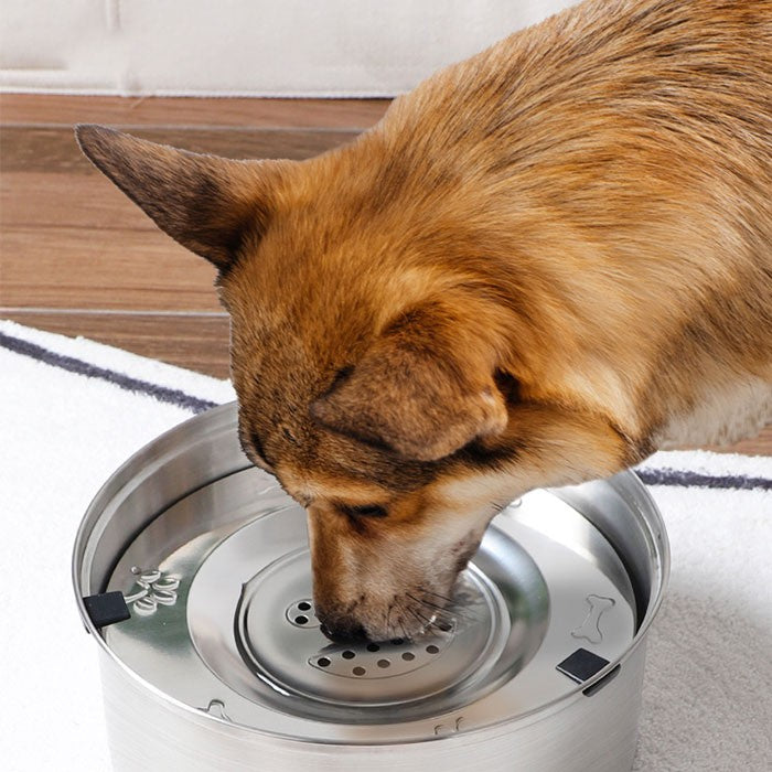 ウォーターボウル 犬 大容量 犬用水飲み器 犬用水入れ 早飲み防止 ペット 給水器 水飲み器 犬 猫 ウォーターボウル ペットフローティングボウル 1L 3L 早飲み防止 こぼれにくい 錆びない 割れない ステンレス製 洗いやすい 清潔 ペット給水器 猫給水器 犬給水器 猫犬両用