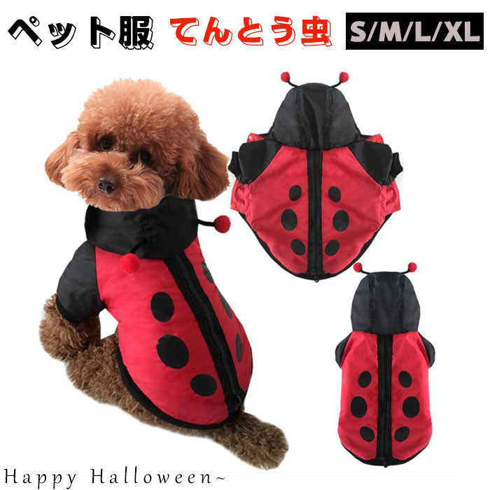 ペット ハロウィン コスチューム ペット 仮装 着ぐるみ ペット用の服 てんとう虫 犬の衣装 わんわん レッド水玉 マント テントウムシの服 テントウムシ衣装 犬 コスプレ 猫 ネコ 犬服 柔らかい 可愛い ドッグ服 プレゼント 小型犬 かわいい 洋服 撮影 ペット服