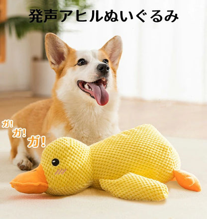犬 おもちゃ 音が鳴る ペット 噛む ダック あひる ぬいぐるみ 音 犬の玩具 抱き枕 犬 噛むおもちゃ ペット用 犬遊び 歯磨き 玩具 ペットグッズ 柔らかい 遊び ペット用品 もこもこ 可愛い 犬用品 ストレス解消 運動不足 プレゼント 小型犬 中型 大型犬 犬猫兼用 いたずら防止