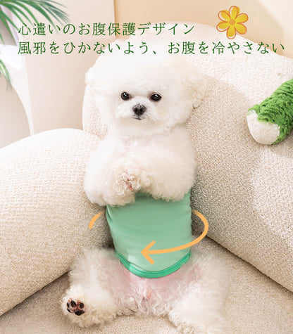 犬 マナーベルト パンツ マナーパンツ ベルト マナーウェア マナー用品 おむつ 介護 ドックウェア 服 しつけ 介護用品 シンプル オムツカバー サニタリーパンツ マーキング防止 生理用パンツ 介護グッツ アニマル おしっこ 男の子 オス ペットグッズ 小型犬 中型犬 犬用品