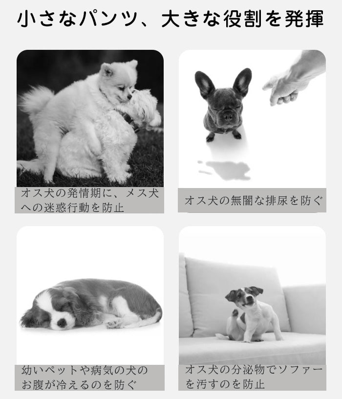 犬 マナーベルト パンツ マナーパンツ ベルト マナーウェア マナー用品 おむつ 介護 ドックウェア 服 しつけ 介護用品 シンプル オムツカバー サニタリーパンツ マーキング防止 生理用パンツ 介護グッツ アニマル おしっこ 男の子 オス ペットグッズ 小型犬 中型犬 犬用品