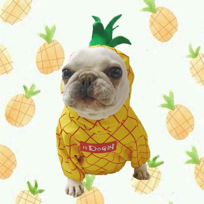 ペット フルーツ リンゴ パイナップル ドッグウェア 猫にも兼用 ハロウィン コスチューム 仮装 着ぐるみ ペット用の服 犬の衣装 犬 コスプレ 猫 ネコ 犬服 柔らかい 可愛い ドッグ服 プレゼント 小型犬 かわいい 洋服 撮影 ペット服 暖かい 帽子付き 犬服 りんごデザイン