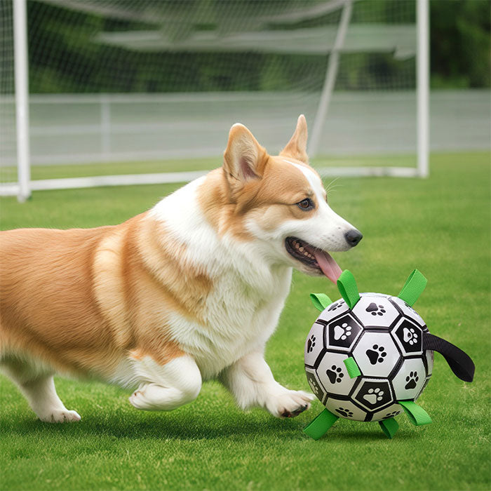 犬用サッカーボール 犬用おもちゃ 犬 おもちゃ ペットおもちゃ オモチャ 空気入れ付き 犬用 ボール デンタルケア ペット玩具 犬玩具 ストレス発散 耐久性 知育玩具 ペット おもちゃ 遊び 耐磨耗 耐噛み 無臭 屋外 室内 ペット ペット用品 可愛い 頑丈 安全 小中大型犬に適用