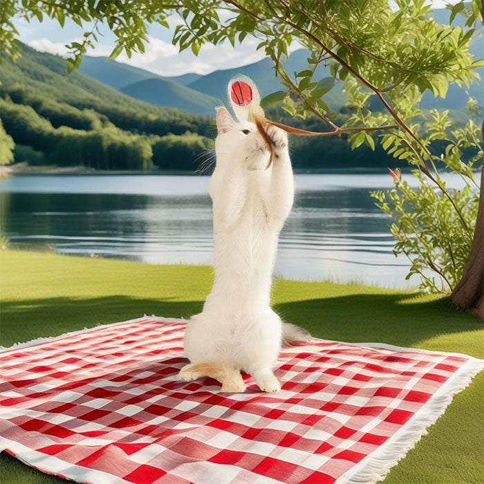 【3個セット】猫用おもちゃボール 猫用フェザーボール おもちゃ 猫 おもちゃ ボール 一人遊び 猫 ボール 羽付きボール 玩具 弾力ボール ストレス解消 運動不足対策 屋内屋外 猫用おもちゃ トレーニング 追跡 狩猟 運動 バスケットボール サッカー 野球用 スボールおもちゃ