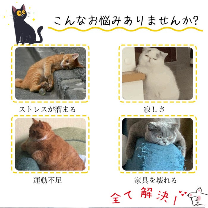 即納 猫用おもちゃ 猫おもち ペット用おもちゃ 自動給餌器 餌入れ食器 ペット給餌おもちゃ ペットおもちゃ 運動不足 ストレス解消 給食 おもちゃ食器 餌入り 食器 お留守番 ペット用品 知育玩具 早食い対策 遊び場所 性格改善 運動不足 ストレス解消 猫じゃらし 転がる