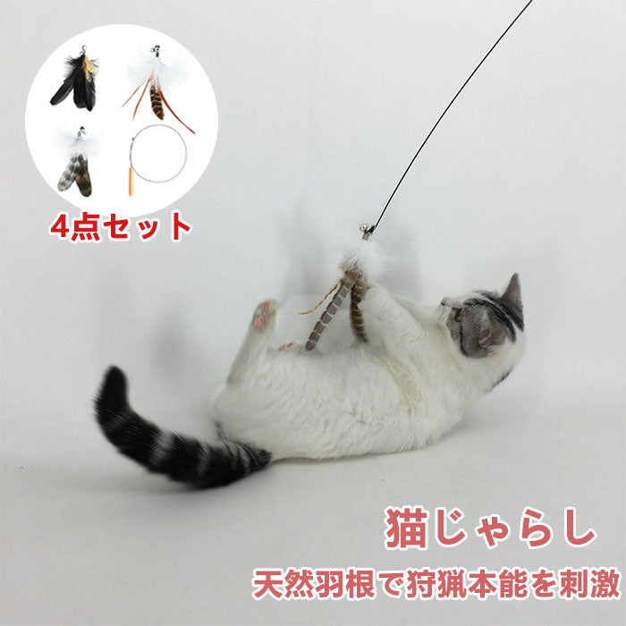 【4点セット】猫じゃらし ねこじゃらし 天然 羽 竿 猫用おもちゃ 猫のおもちゃ 釣竿型おもちゃ 猫じゃらし 猫 ねこ ネコ 羽根 鈴 おもちゃ 釣り竿 猫用品 ペット用品 猫おもちゃ ストレス解消 運動不足解消 コンパクト 鳥の羽 鳥のハネ 玩具 猫じゃらしセット 猫用おもちゃ
