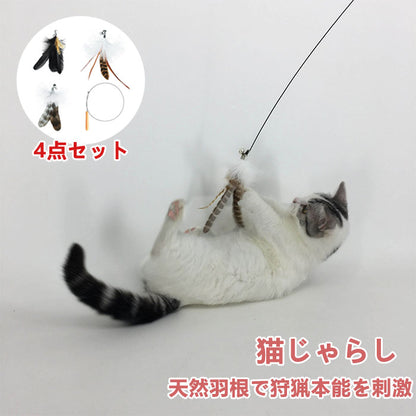 【4点セット】猫じゃらし ねこじゃらし 天然 羽 竿 猫用おもちゃ 猫のおもちゃ 釣竿型おもちゃ 猫じゃらし 猫 ねこ ネコ 羽根 鈴 おもちゃ 釣り竿 猫用品 ペット用品 猫おもちゃ ストレス解消 運動不足解消 コンパクト 鳥の羽 鳥のハネ 玩具 猫じゃらしセット 猫用おもちゃ
