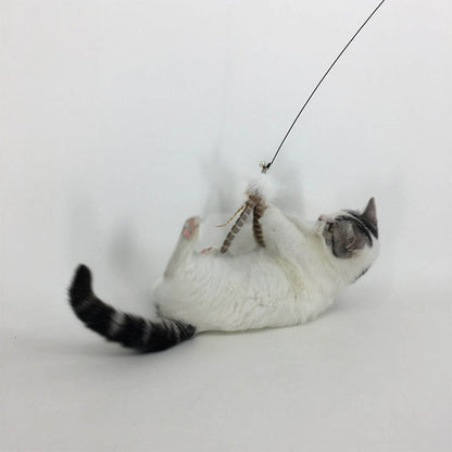 【4点セット】猫じゃらし ねこじゃらし 天然 羽 竿 猫用おもちゃ 猫のおもちゃ 釣竿型おもちゃ 猫じゃらし 猫 ねこ ネコ 羽根 鈴 おもちゃ 釣り竿 猫用品 ペット用品 猫おもちゃ ストレス解消 運動不足解消 コンパクト 鳥の羽 鳥のハネ 玩具 猫じゃらしセット 猫用おもちゃ