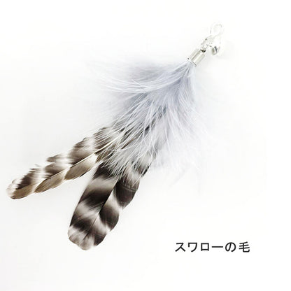 【4点セット】猫じゃらし ねこじゃらし 天然 羽 竿 猫用おもちゃ 猫のおもちゃ 釣竿型おもちゃ 猫じゃらし 猫 ねこ ネコ 羽根 鈴 おもちゃ 釣り竿 猫用品 ペット用品 猫おもちゃ ストレス解消 運動不足解消 コンパクト 鳥の羽 鳥のハネ 玩具 猫じゃらしセット 猫用おもちゃ