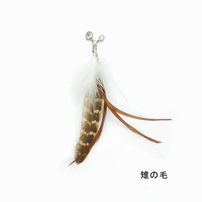 【4点セット】猫じゃらし ねこじゃらし 天然 羽 竿 猫用おもちゃ 猫のおもちゃ 釣竿型おもちゃ 猫じゃらし 猫 ねこ ネコ 羽根 鈴 おもちゃ 釣り竿 猫用品 ペット用品 猫おもちゃ ストレス解消 運動不足解消 コンパクト 鳥の羽 鳥のハネ 玩具 猫じゃらしセット 猫用おもちゃ