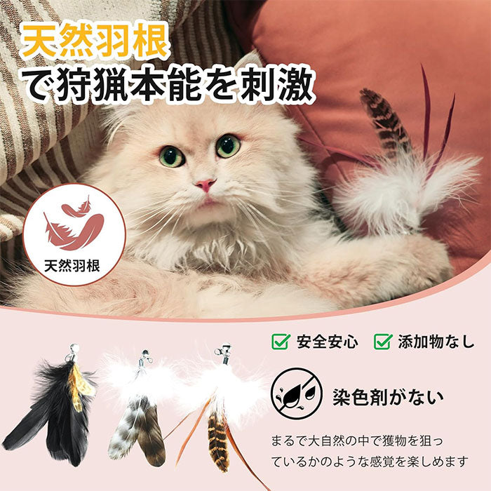 【4点セット】猫じゃらし ねこじゃらし 天然 羽 竿 猫用おもちゃ 猫のおもちゃ 釣竿型おもちゃ 猫じゃらし 猫 ねこ ネコ 羽根 鈴 おもちゃ 釣り竿 猫用品 ペット用品 猫おもちゃ ストレス解消 運動不足解消 コンパクト 鳥の羽 鳥のハネ 玩具 猫じゃらしセット 猫用おもちゃ