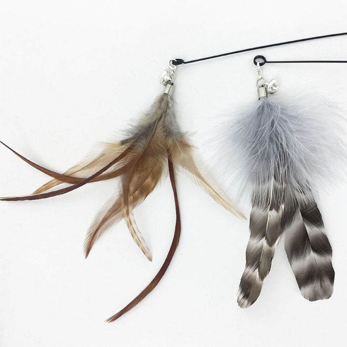 【4点セット】猫じゃらし ねこじゃらし 天然 羽 竿 猫用おもちゃ 猫のおもちゃ 釣竿型おもちゃ 猫じゃらし 猫 ねこ ネコ 羽根 鈴 おもちゃ 釣り竿 猫用品 ペット用品 猫おもちゃ ストレス解消 運動不足解消 コンパクト 鳥の羽 鳥のハネ 玩具 猫じゃらしセット 猫用おもちゃ