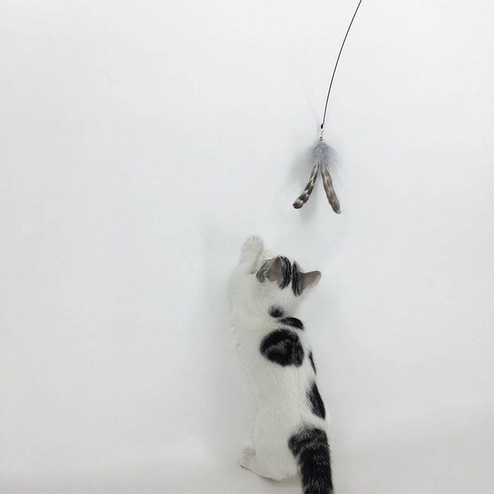【4点セット】猫じゃらし ねこじゃらし 天然 羽 竿 猫用おもちゃ 猫のおもちゃ 釣竿型おもちゃ 猫じゃらし 猫 ねこ ネコ 羽根 鈴 おもちゃ 釣り竿 猫用品 ペット用品 猫おもちゃ ストレス解消 運動不足解消 コンパクト 鳥の羽 鳥のハネ 玩具 猫じゃらしセット 猫用おもちゃ