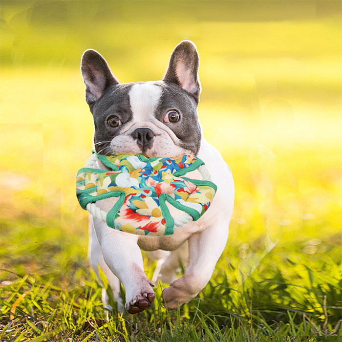犬 おもちゃ 犬のおもちゃ フリスビー 音が鳴る 噛むおもちゃ 犬玩具 投げる ストレス発散 布製 棉麻ロープ 柔らかい ソフト 頑丈 壊れにくい 歯磨きおもちゃ 遊び 知育玩具 小型から大型犬まで対応 犬のおもちゃ 犬玩具 オモチャ 安全 軽量 運動不足解消 外遊び ペット用品