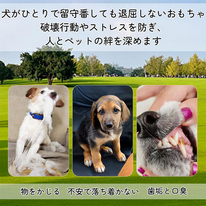 フリスビー 犬 犬用おもちゃ フリスビー 投げるおもちゃ ハンドル型 噛むおもちゃ 音が鳴る 頑丈 耐久性 壊れにくい 犬用 噛むおもちゃ 歯磨き 歯清潔 安全 無毒 ストレス解消 運動不足対策 外遊び 歯耐性 知能訓練 小型犬 中型犬 お手入れ簡単 噛むおもちゃ 歯磨き効