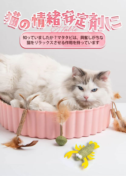 10個 猫用 猫歯ぎしり棒 猫おもちゃ 猫のおもちゃ キャットニップ 猫歯ぎしり棒 エビ えびタイプ 猫噛みおもちゃ 猫 おもちゃ キャットニップ マタタビ またたびトイ 噛むスティック 天然安全 興奮した猫 猫用品 猫おもちゃ 猫じゃらし