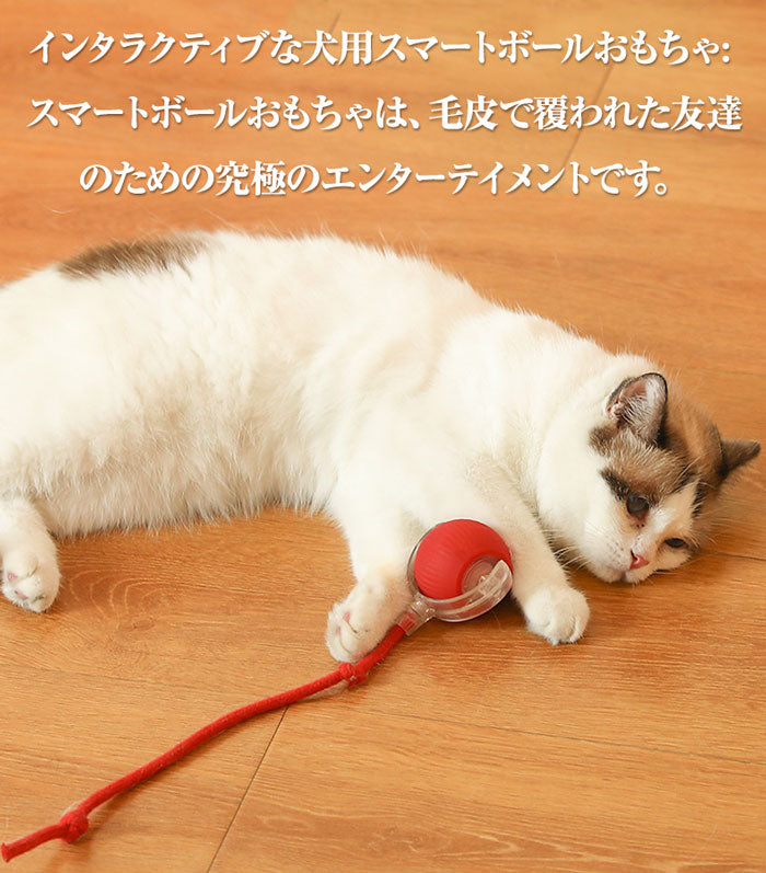 チューイ ウイルス ローリング ボール 犬 おもちゃ 犬 ボール 動く電動 玩具 自動 犬用チューイ ボール チューイ スマート自動ローリング ペット ボール インタラクティブな猫ボールおもちゃ USB 充電付き自動 360 度回転ローリング ボール