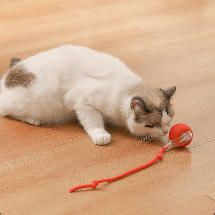 チューイ ウイルス ローリング ボール 犬 おもちゃ 犬 ボール 動く電動 玩具 自動 犬用チューイ ボール チューイ スマート自動ローリング ペット ボール インタラクティブな猫ボールおもちゃ USB 充電付き自動 360 度回転ローリング ボール