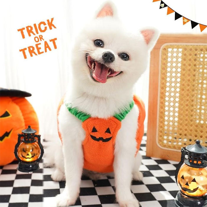 ハロウィン 衣装 猫 犬 かぼちゃの犬服 ハロウィン コスプレ ふんわり かぼちゃコスチューム 犬変身 写真撮り おもしろい ドッグウエア モコモコ 暖かい かぼちゃ柄 傷なめ防止 コスチューム コスプレ服 着せやすい 小型犬 仮装 変装 秋冬服 可愛い オシャレ ファッション