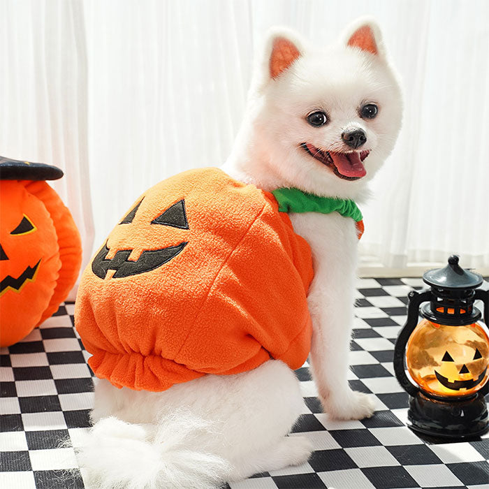 ハロウィン 衣装 猫 犬 かぼちゃの犬服 ハロウィン コスプレ ふんわり かぼちゃコスチューム 犬変身 写真撮り おもしろい ドッグウエア モコモコ 暖かい かぼちゃ柄 傷なめ防止 コスチューム コスプレ服 着せやすい 小型犬 仮装 変装 秋冬服 可愛い オシャレ ファッション