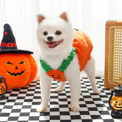 ハロウィン 衣装 猫 犬 かぼちゃの犬服 ハロウィン コスプレ ふんわり かぼちゃコスチューム 犬変身 写真撮り おもしろい ドッグウエア モコモコ 暖かい かぼちゃ柄 傷なめ防止 コスチューム コスプレ服 着せやすい 小型犬 仮装 変装 秋冬服 可愛い オシャレ ファッション
