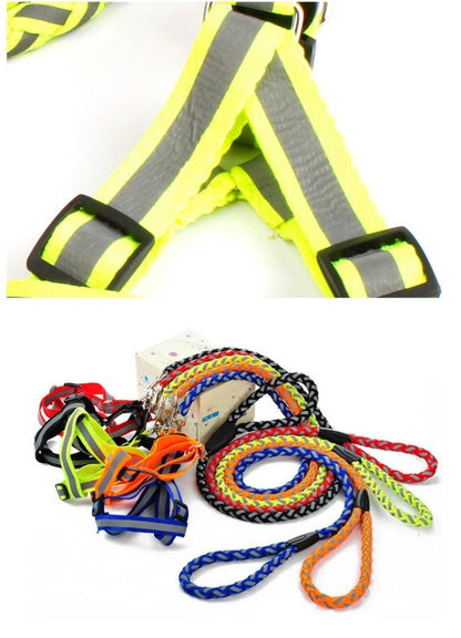 犬 ハーネス リード 猫 ハーネスリード 2点セット 胴輪 ハーネスリードセット 小型犬 安全帯 犬具 胴輪 光る 反射 ワンちゃん用 中型犬 お散歩グッズ リード付き 抜けない イヌ ドッグ お出掛け ペット用品 犬用 ペットグッズ 犬用品