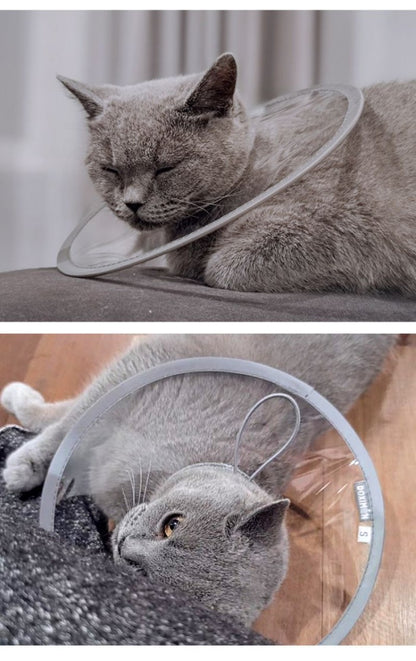 エリザベスカラー 猫 クリア ソフト 柔らかい 軽量 獣医推薦 リピーター多数 フェザーカラー 【透明･ソフト】 子猫 成猫 ロング 撥水 首元クッション 手術後 傷口保護 足舐め防止 傷舐め防止 猫用 怪我 ペット用 かわいい 介護 簡単装着 送料無料