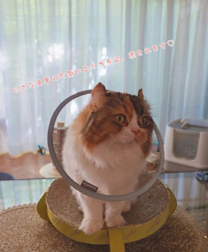 エリザベスカラー 猫 クリア ソフト 柔らかい 軽量 獣医推薦 リピーター多数 フェザーカラー 【透明･ソフト】 子猫 成猫 ロング 撥水 首元クッション 手術後 傷口保護 足舐め防止 傷舐め防止 猫用 怪我 ペット用 かわいい 介護 簡単装着 送料無料