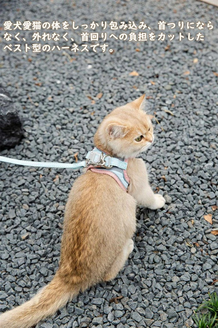 胴輪 ハーネス ベスト型 ソフトハーネス ソフト胸あて リードセット 猫 猫用ハーネス ねこネコ子猫 抜けない マジックテープ 引っ張り防止 犬猫兼用 くびわ 散歩用 お出かけ 通院 簡単装着 おしゃれ かわいい 装着しやい 快適 犬用品 ペットグッズ